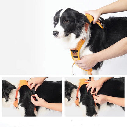 Dog Walking Harness With Retractable Leash